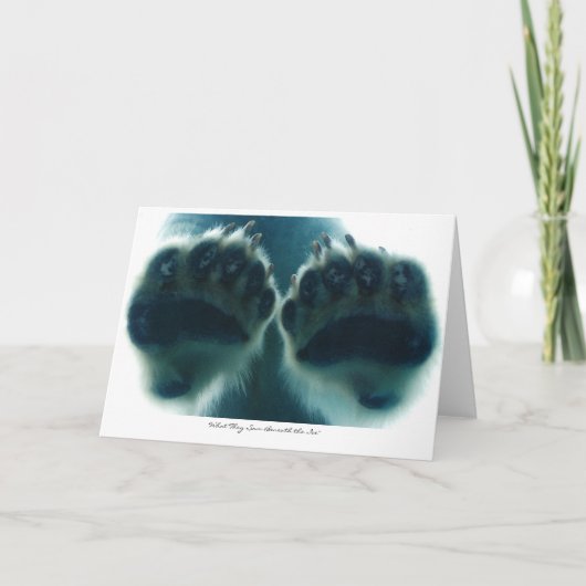 Was sie unter dem Eis sahen Karte (Vorderseite)