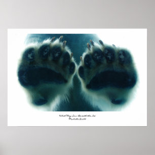 Was sie unter dem Eis sahen Poster