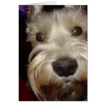 Was siehst du dir an?