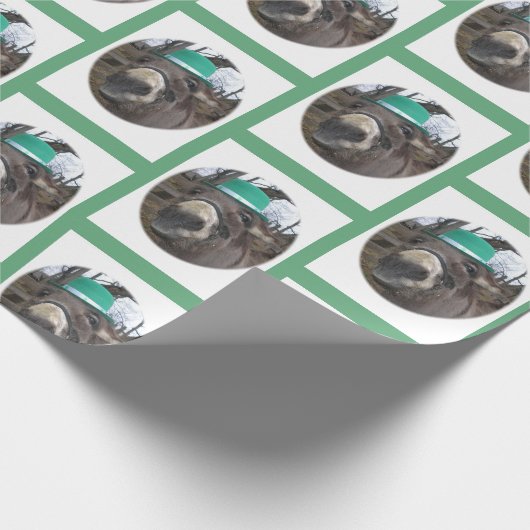 "Was siehst du dir an?" Geschenkpapier (Ecke)