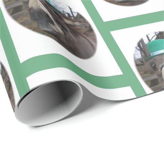 "Was siehst du dir an?" Geschenkpapier (Rolleneckpunkt)