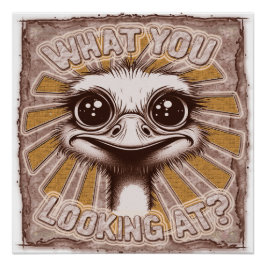 Was siehst du dir an? Ostrich Glossy Poster