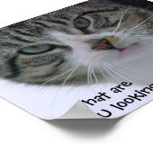 Was siehst du dir an?!!! poster (Ecke)