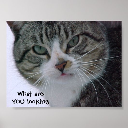 Was siehst du dir an?!!! poster (Vorne)