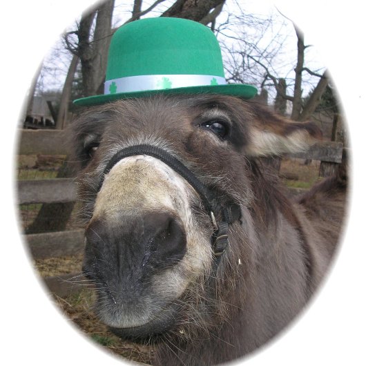 "Was siehst du dir an?" T-Shirt