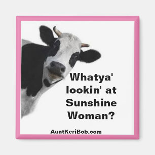 Was sieht denn die Sonnenscheinin-Frau aus? Fun Ma Magnet