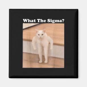Was Sigma Meme Cat Meme Internet Memes Funny Meme Magnet