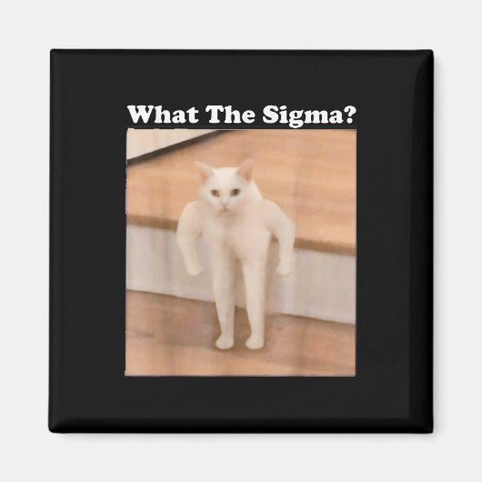 Was Sigma Meme Cat Meme Internet Memes Funny Meme Magnet (Vorne)