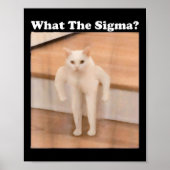 Was Sigma Meme Cat Meme Internet Memes Funny Meme Poster (Vorne)