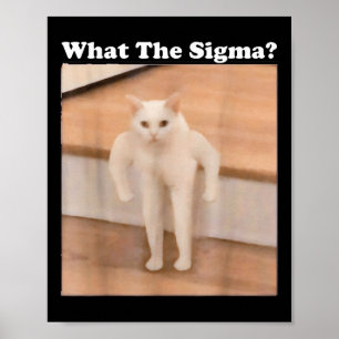 Was Sigma Meme Cat Meme Internet Memes Funny Meme Poster