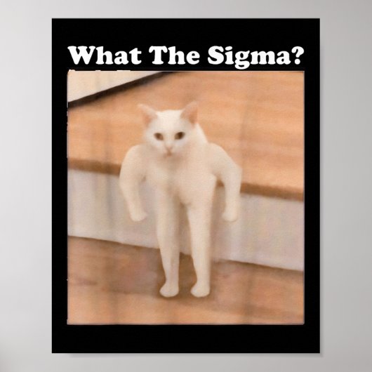 Was Sigma Meme Cat Meme Internet Memes Funny Meme Poster (Vorne)