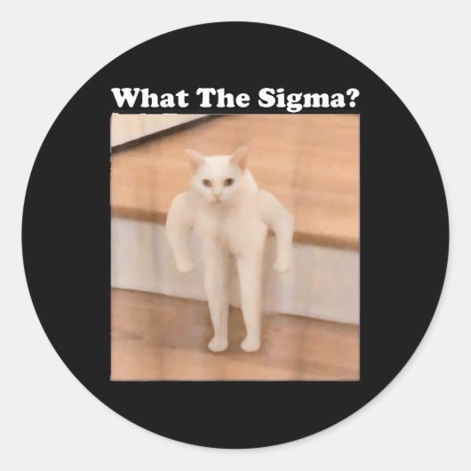Was Sigma Meme Cat Meme Internet Memes Funny Meme Runder Aufkleber (Vorderseite)