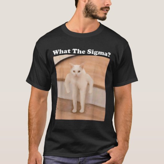 Was Sigma Meme Cat Meme Internet Memes Funny Meme T-Shirt (Vorderseite)