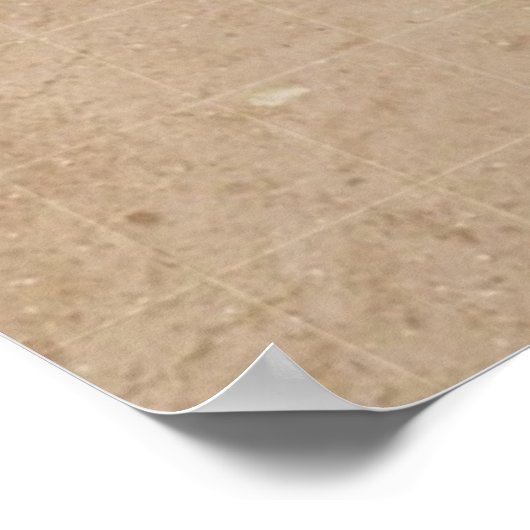 Was sind Kulturen? Poster *AKTUALISIERT* (Ecke)