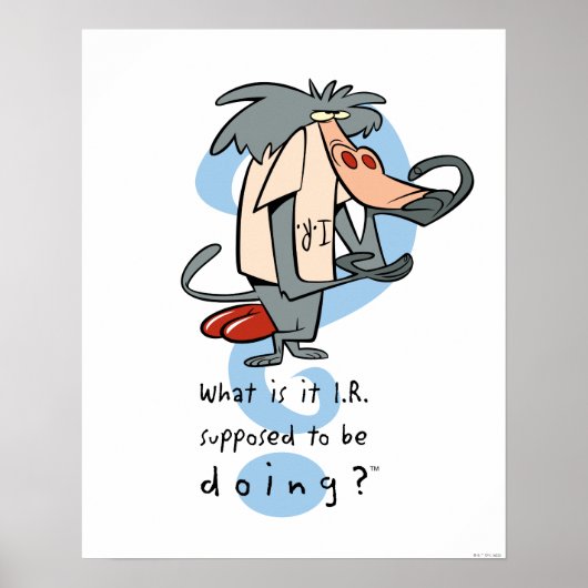 Was soll das I.R. tun?™ Poster (Vorne)