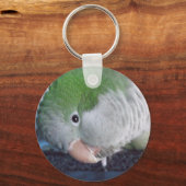 Was soll das? Quaker Parakeet Schlüsselanhänger (Vorderseite)