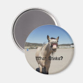 Was stinkt? magnet (Vorderseite/Rückseite)