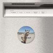 Was stinkt? magnet (In Situ (Geschirrspüler))