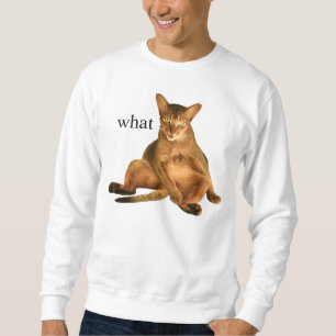 was sweatshirt