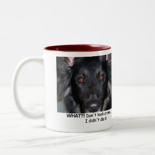 Was?! Tasse