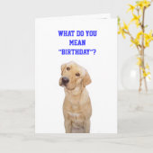 Was tun Sie gemeiner " Geburtstag"? Karte (Gelbe Blume)
