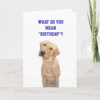 Was tun Sie gemeiner " Geburtstag"? Karte