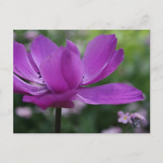 Was verbergen Sie? Postkarte (Vorderseite)