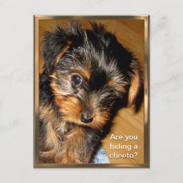 Was versteckst du? Anpassbare Postkarte