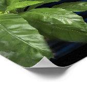 Was wir uns vorstellen können Wir können echtes Po Poster (Ecke)