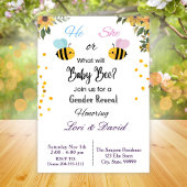 Was wird die Gender-Offenlegung sein? Einladung