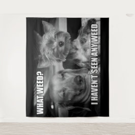 WAS WOCHE WANDTEPPICH