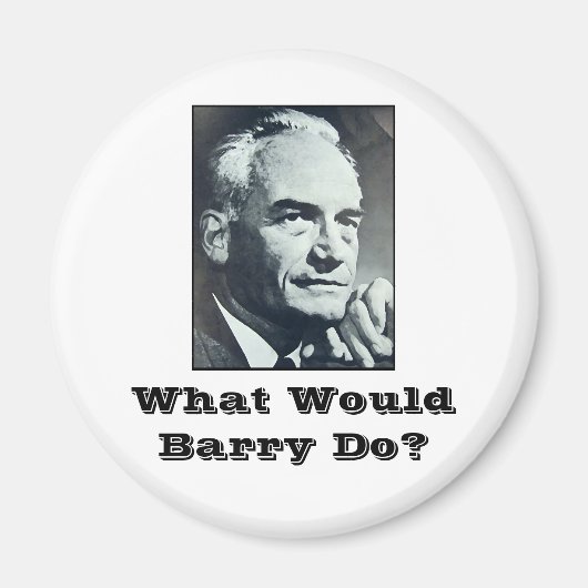 Was würde Barry tun? Magnet (Vorne)