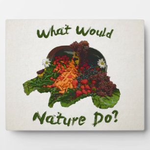 Was würde die Natur tun? Fotoplatte
