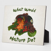 Was würde die Natur tun? Fotoplatte (Seite)