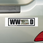 Was würde glückliche Katze tun? Autoaufkleber (Auf Auto)