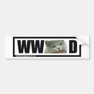 Was würde glückliche Katze tun? Autoaufkleber