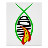 Was würde Joker tun? Poster (Vorderseite)