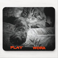 Was zu tun ist heute online? Cat Says Play