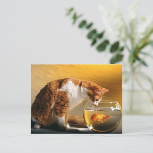 Was zum Abendessen ? Postkarte (Stehend Vorderseite)