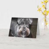 WASABI Uhren Karte (Gelbe Blume)