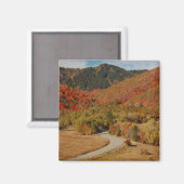 Wasatch Mountains, Utah Magnet (Vorderseite/Rückseite)
