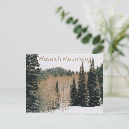 Wasatch Mountains Winter Szene Postcard Postkarte (Stehend Vorderseite)