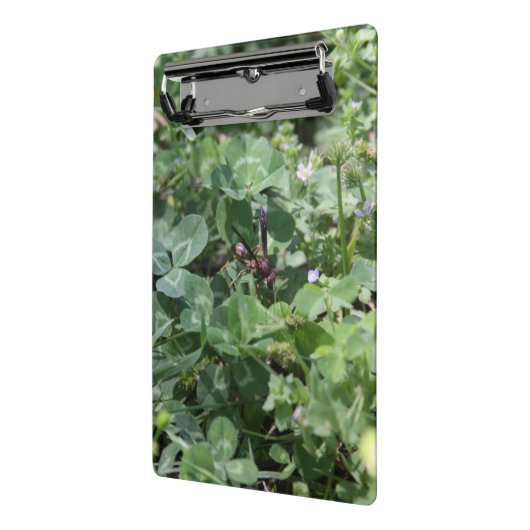 Wasch-Clipboards Mini Klemmbrett (Gewinkelt2)