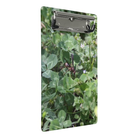 Wasch-Clipboards Mini Klemmbrett (Schrägansicht)