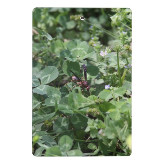 Wasch-Clipboards Mini Klemmbrett (Rückseite)