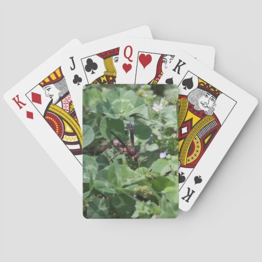 Wasch-Karten Spielkarten (Rückseite)