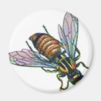 Wasch oder Hornet Magnet