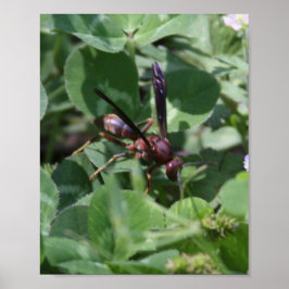 Wasch Poster