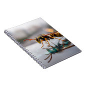 Wasch-Reflektionsgerät Notizblock (Rechte Seite)