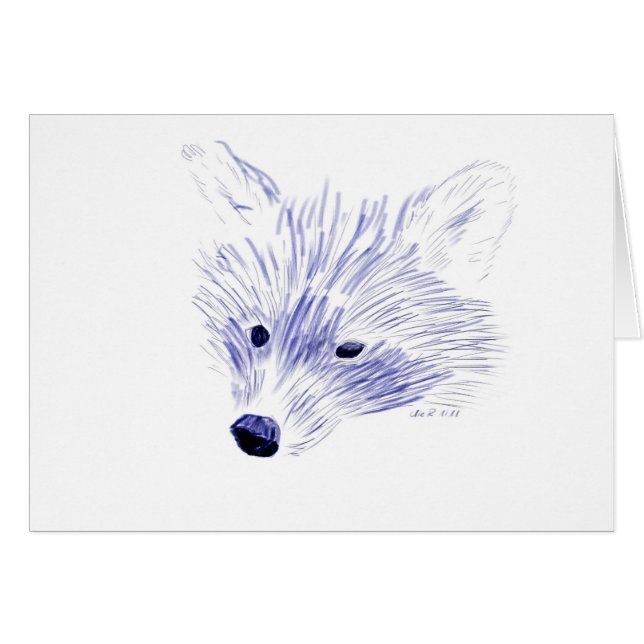 Waschbär (Vorderseite (Horizontal))